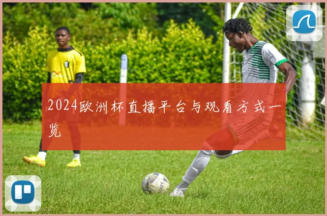 2024欧洲杯直播平台与观看方式一览