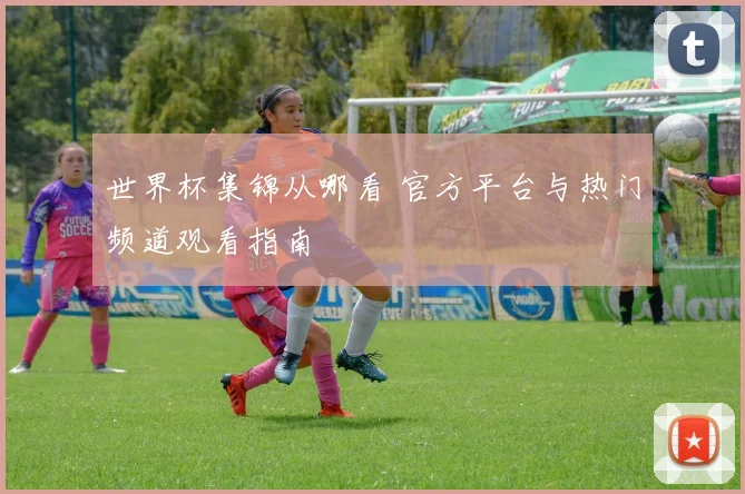 世界杯集锦从哪看 官方平台与热门频道观看指南