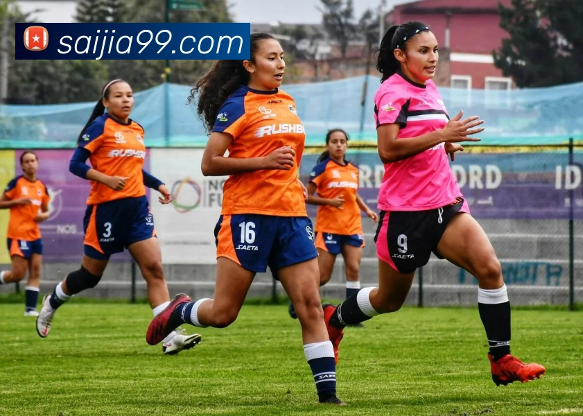 米兰app登陆入口APP 封面图